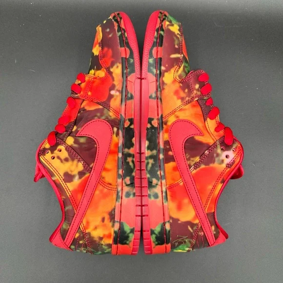 NWT 2024 NIKE SB DUNK LOW PRO WIZARD OF OZ QS DEADSTOCK OG ALL MENS 10.5 - Picture 7 of 16